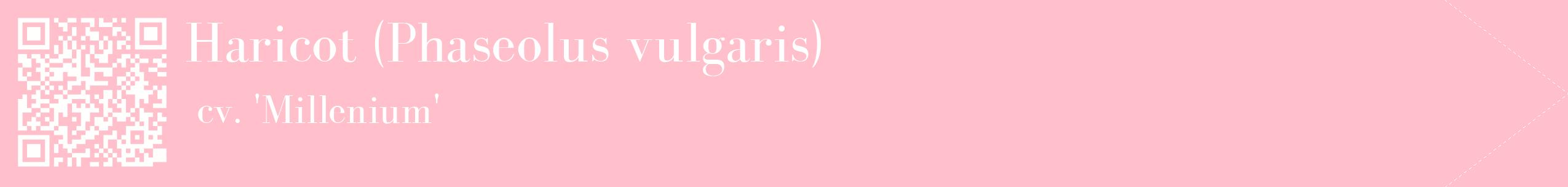étiquette 2
