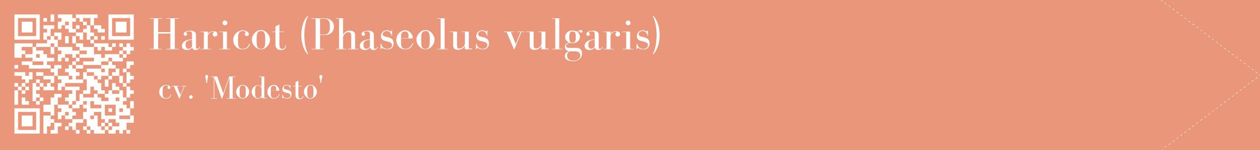 étiquette 2