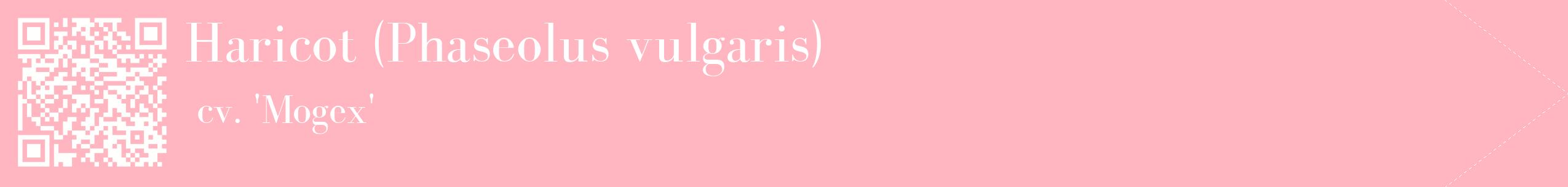 étiquette 2