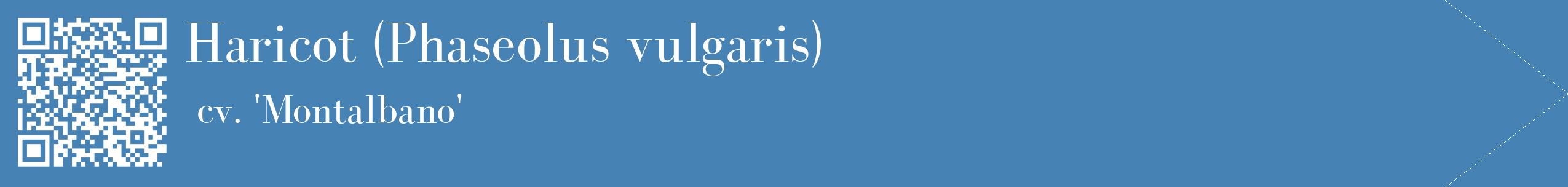 étiquette 2
