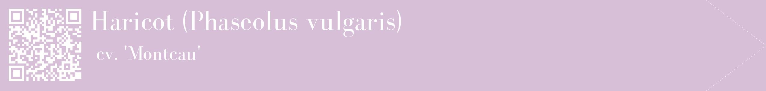 étiquette 2