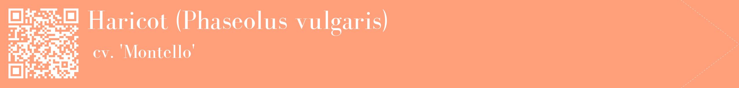 étiquette 2
