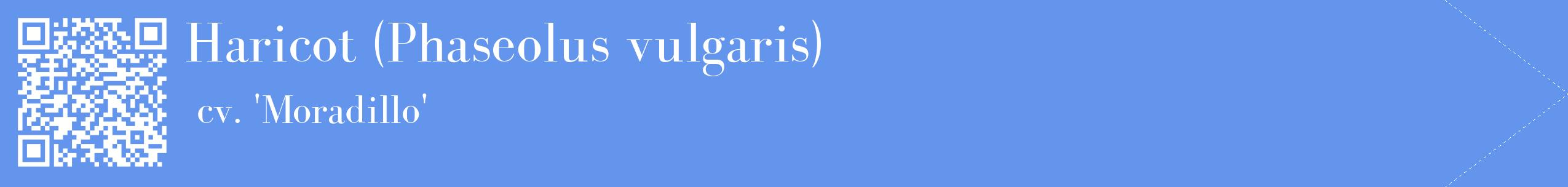 étiquette 2