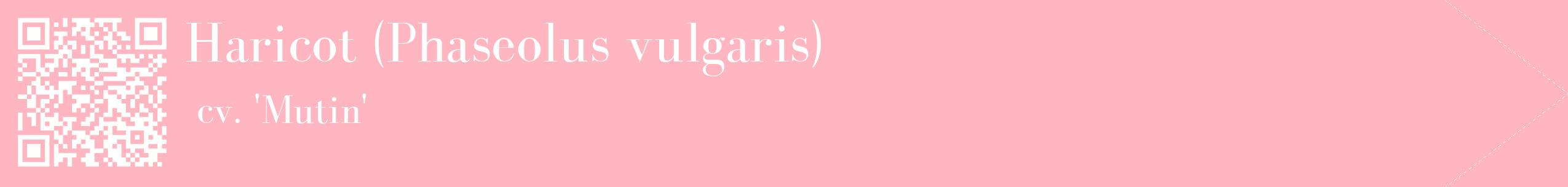 étiquette 2