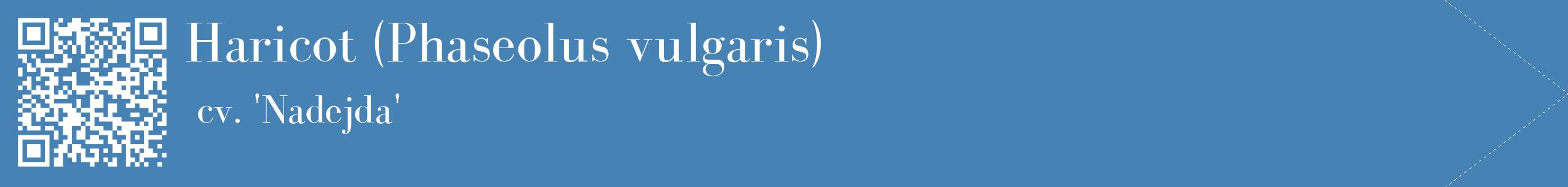 étiquette 2