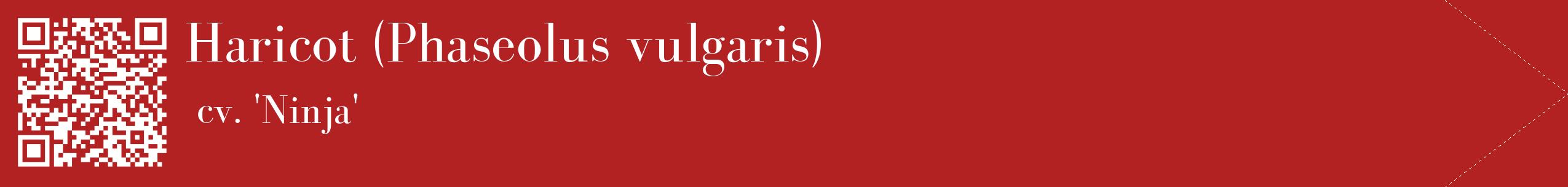 étiquette 2