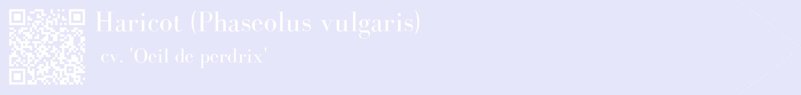étiquette 2