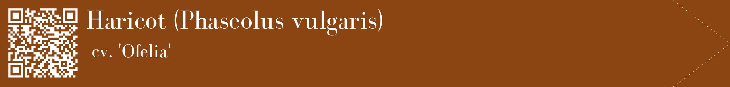 étiquette 2