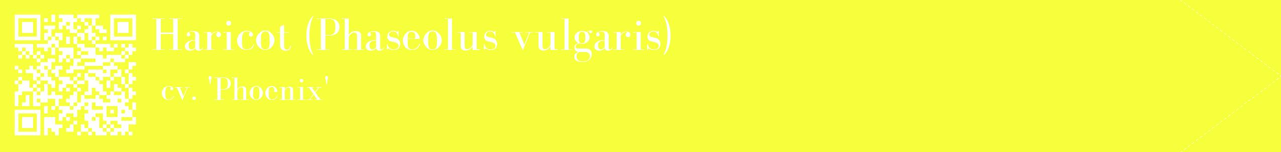 étiquette 2