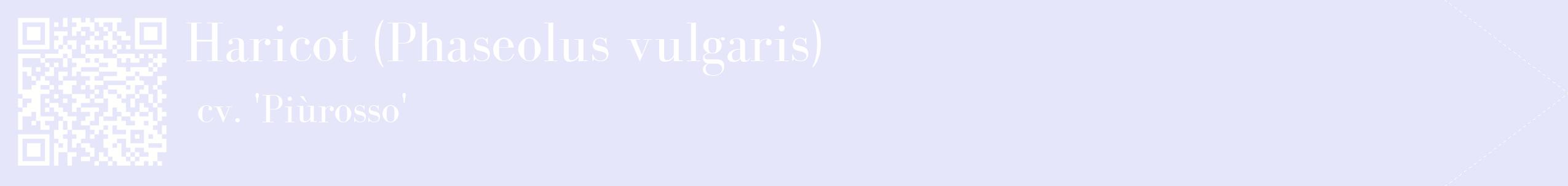 étiquette 2