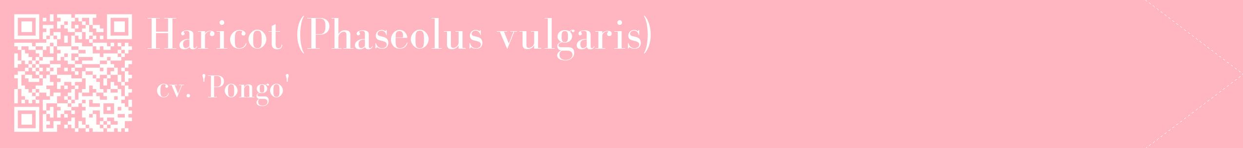 étiquette 2