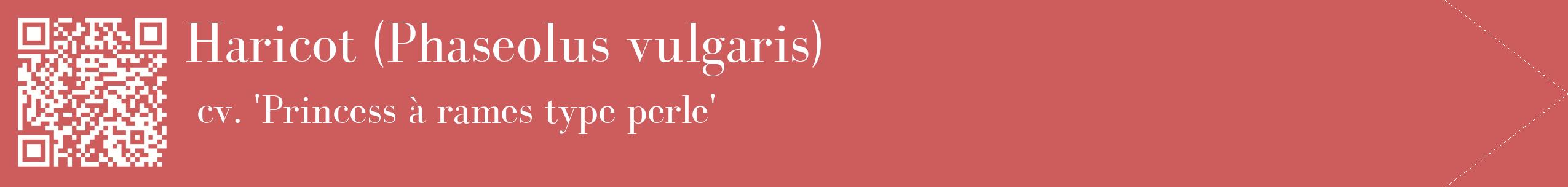 étiquette 2