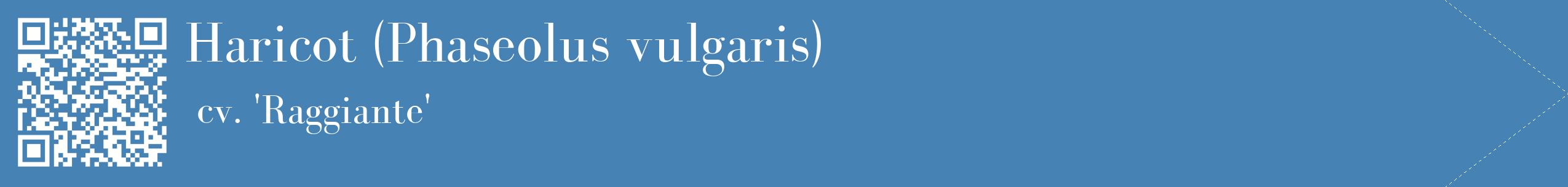 étiquette 2