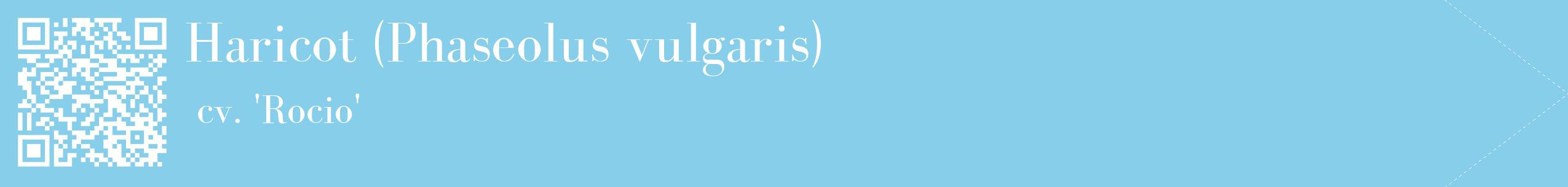 étiquette 2