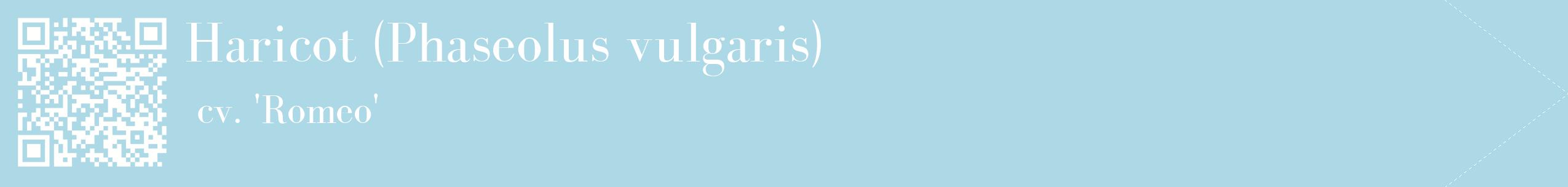 étiquette 2