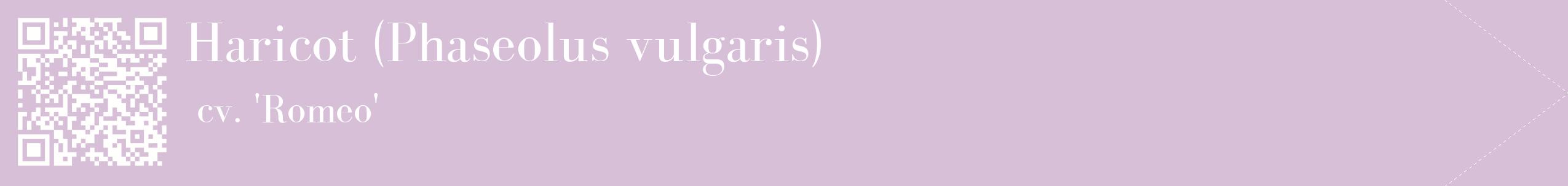 étiquette 2