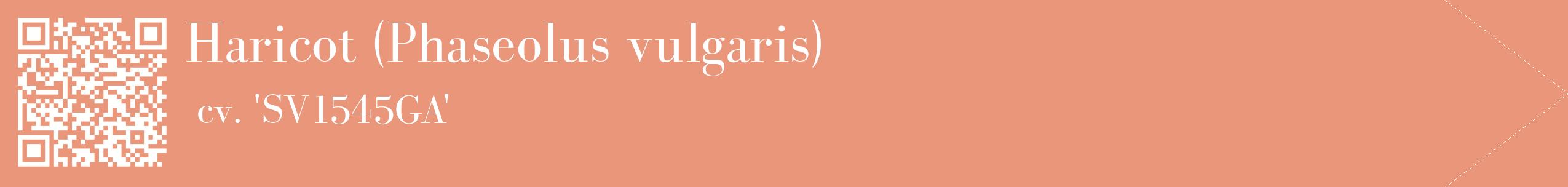 étiquette 2