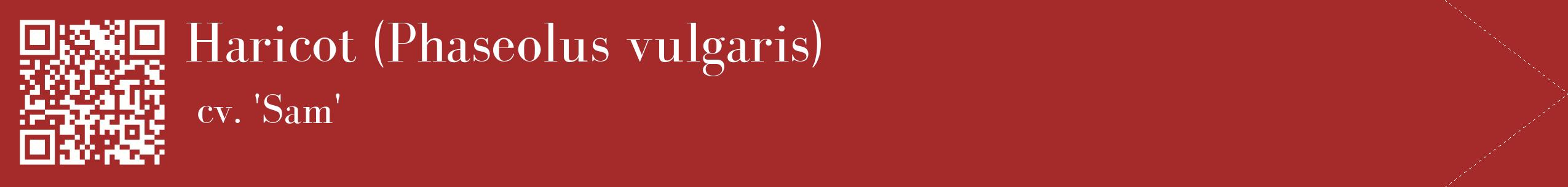 étiquette 2