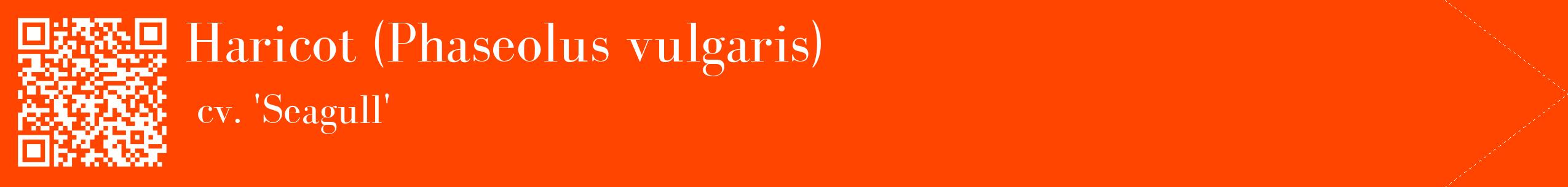 étiquette 2