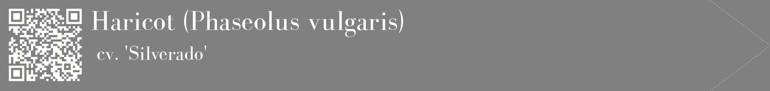 étiquette 2