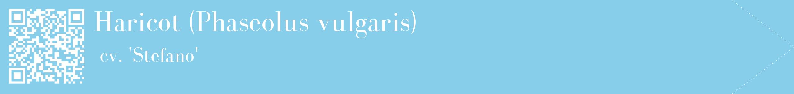 étiquette 2