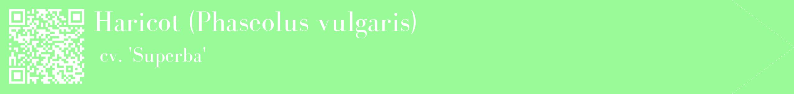 étiquette 2