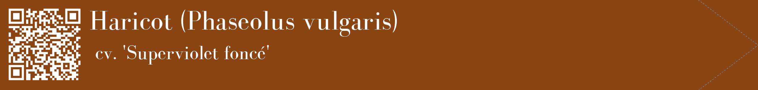 étiquette 2