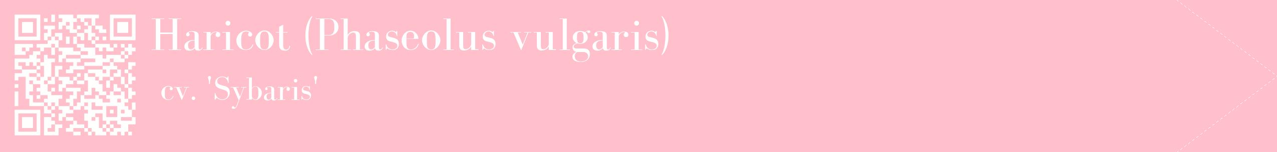 étiquette 2