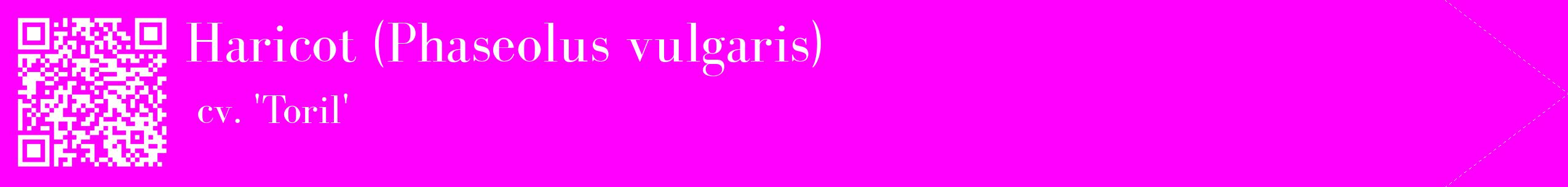 étiquette 2