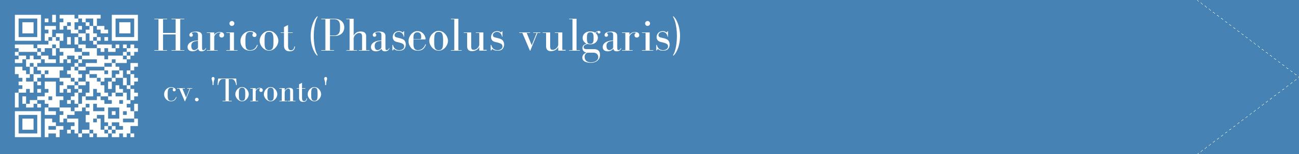 étiquette 2