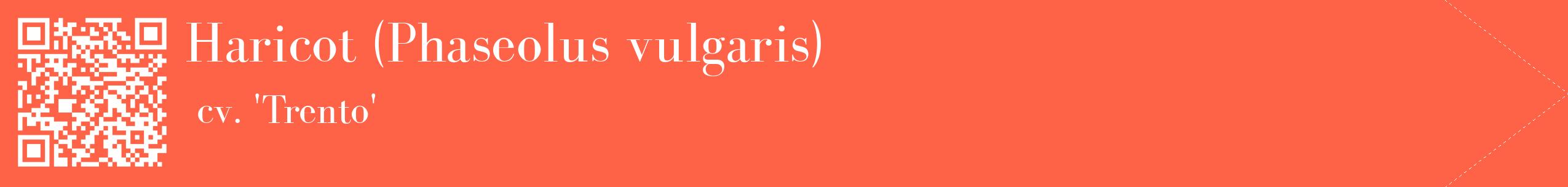 étiquette 2