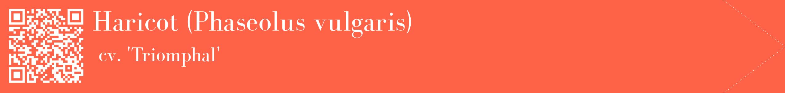 étiquette 2