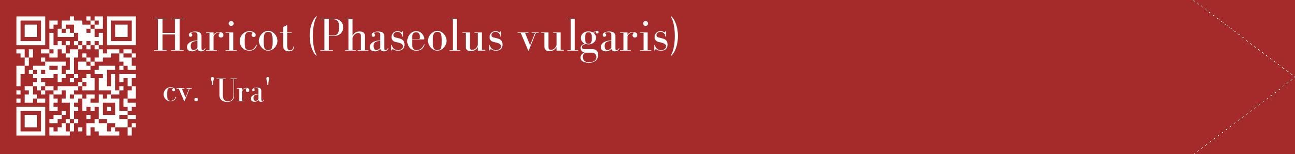 étiquette 2