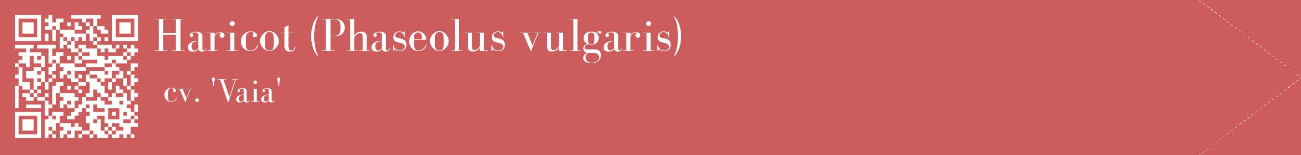 étiquette 2