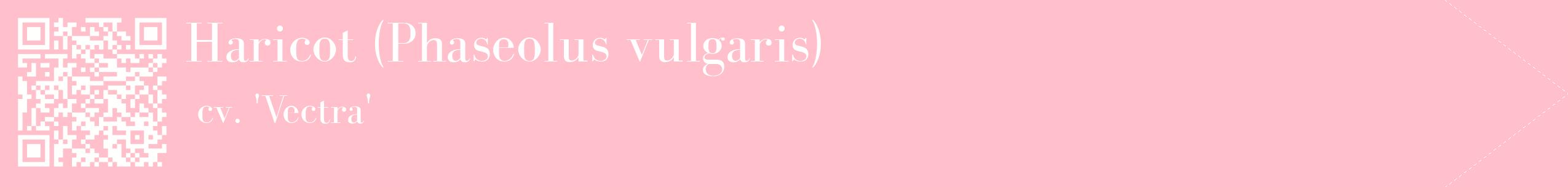 étiquette 2