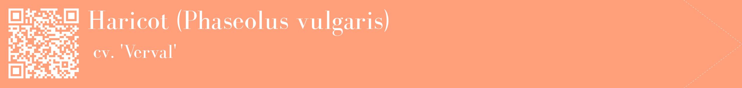 étiquette 2