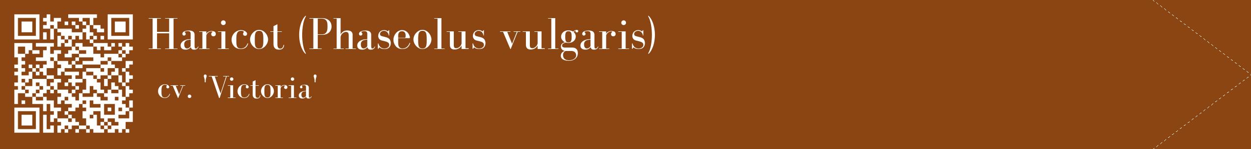 étiquette 2