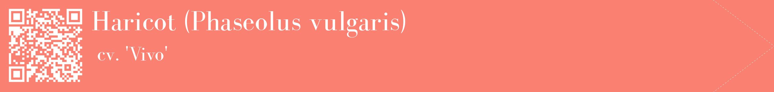 étiquette 2