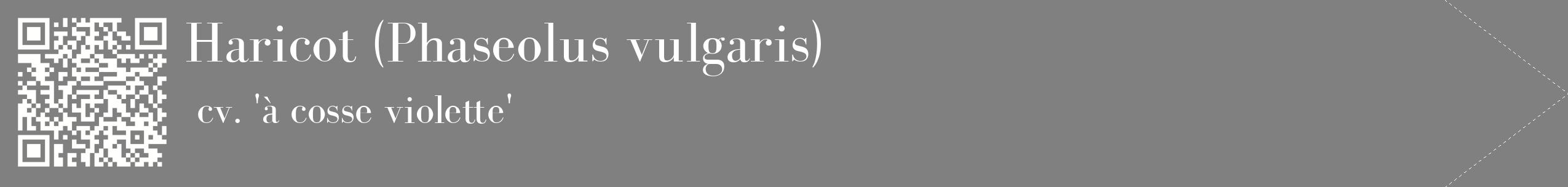 étiquette 2
