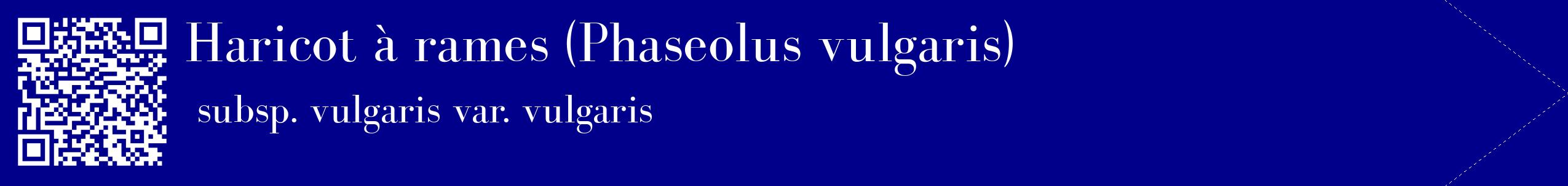étiquette 2