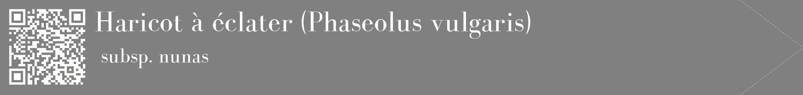 étiquette 2