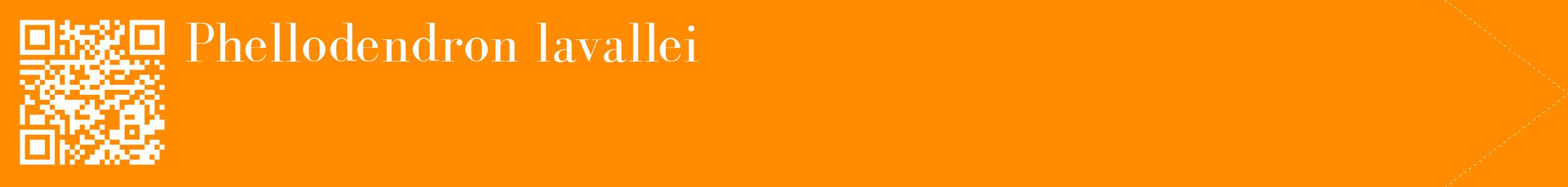étiquette 2