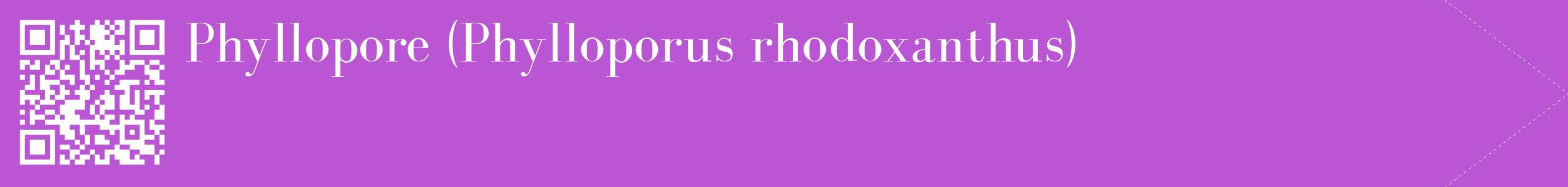 étiquette 2