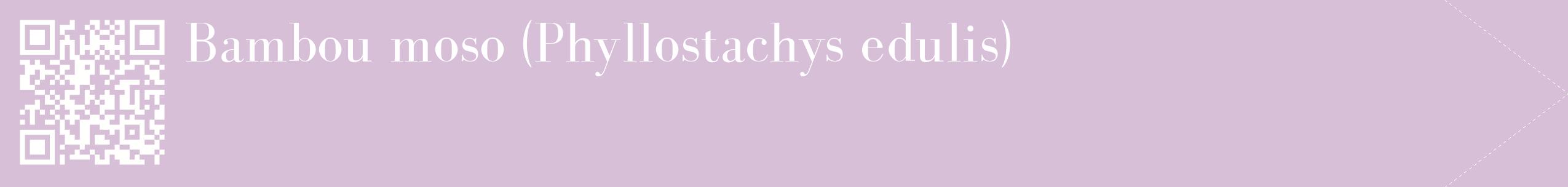 étiquette 2