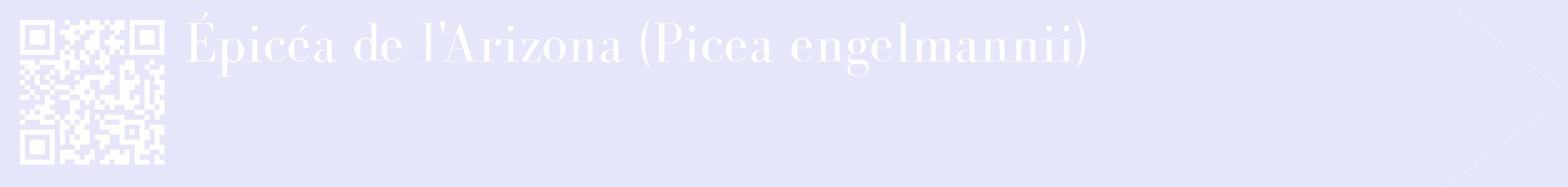 étiquette 2