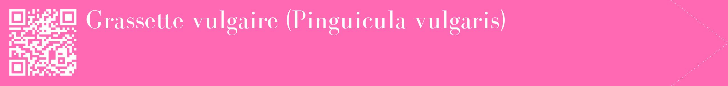 étiquette 2