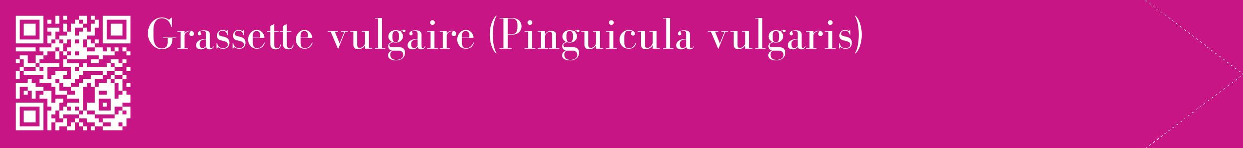 étiquette 2