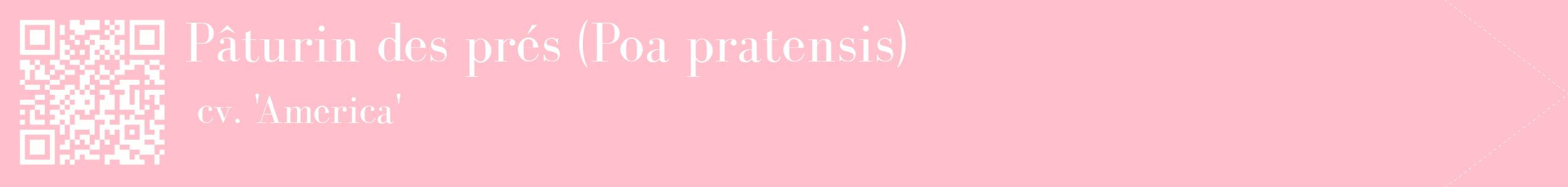 étiquette 2