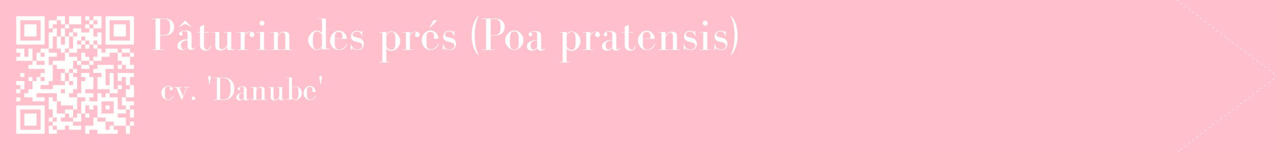 étiquette 2
