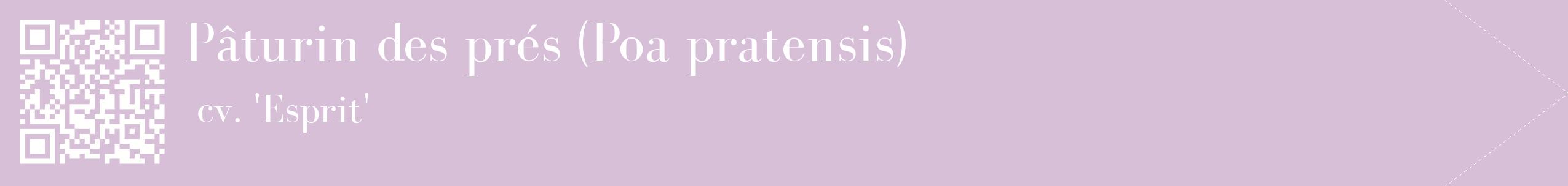 étiquette 2